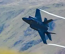 A black aircraft is flying over the green area.