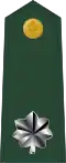 Lieutenant colonel