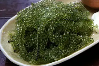 Sea grapes, a tropical edible seaweed, are also eaten in Japan.