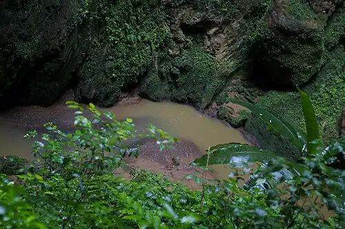 Underground Río Camuy in Camuy
