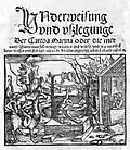 Underweisung und ußlegunge der Cartha Marina oder die mercarten. 1530