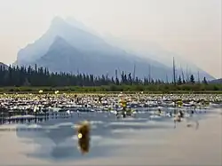 Mount Rundle through the haze of wildfire smoke, as seen from the middle of Vermilion Lake one