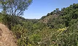 View from Rhus Ridge Trail, of the watershed of a branch, looking toward the main stem