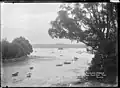 Watchman Island from Point Erin Park in the 1910s.