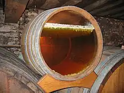 A barrel with a glass bottom revealing the layer of yeast on the surface under which the yellow wine is ageing. This yeast is in the form of an irregular white layer – it forms small stalactites that sink a few millimetres into the wine which is already dark yellow wine. The wall in the background is grey, probably coated in grey mould.