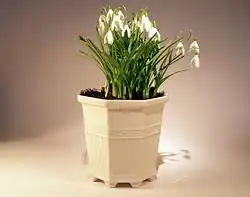 Porcelain flower pot designed by Prince Eugen, popular in Sweden.[8]