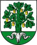 Bergen coat of arms