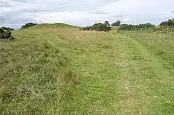 Bowl barrow, 455 m west of Brimble Pit Pool