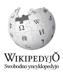 Wikipedia logo displaying the name "Wikipedia" and its slogan: "The Free Encyclopedia" below it, in Silesian