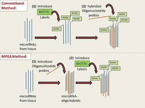 Figure 1. Work flow: from tissue to readout