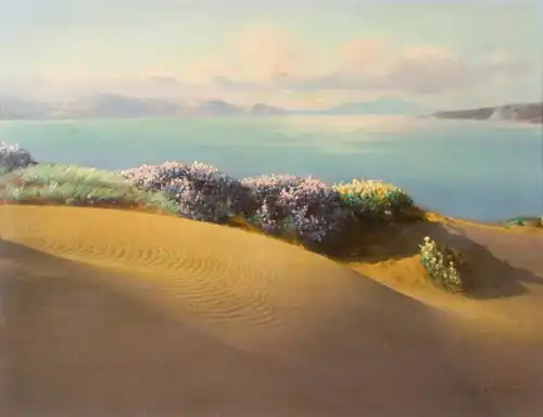 Sand dunes and flowers, c. 1915