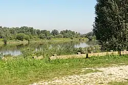 Vistula in Mędrzechów