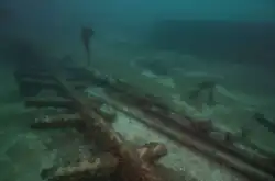 A pattern of submerged, log-like objects