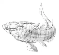 Xiushanosteus[80] is the oldest known placoderm from the early Silurian (Telychian) of China