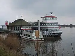 Zilvermeeuw, Drimmelen