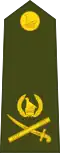 Lieutenant general (Zimbabwe National Army)