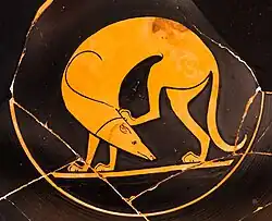 dog scratching itself with its hind leg.