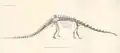 John Bell Hatcher's 1901 lithograph of Dippy, from the first issue of Memoirs of the Carnegie Museum of Natural History[15]